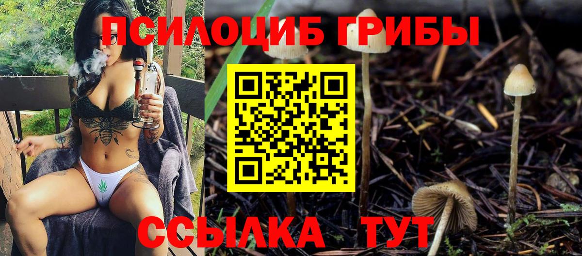 Псилоцибиновые грибы мухоморы Тамбов