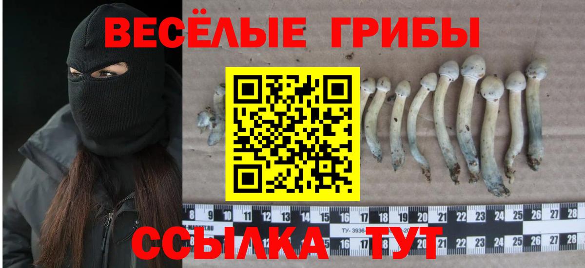 Тамбов  Галлюциногенные грибы мухоморы  Вход с VPN 